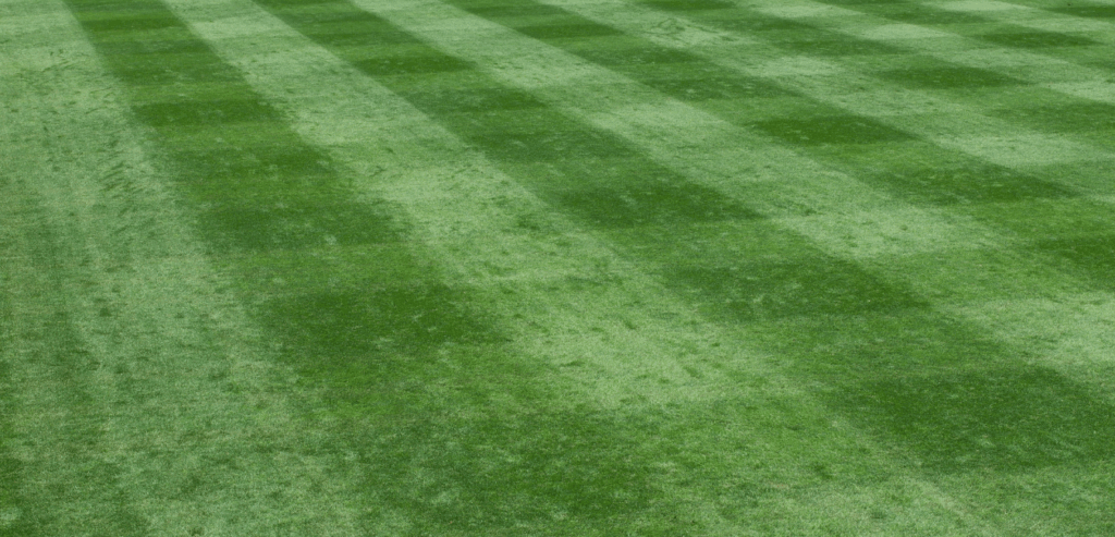 メジャーリーグのユニフォーム完全ガイド｜歴史・デザイン・最新モデルを徹底解説